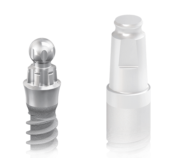 bredent-medical one piece implants